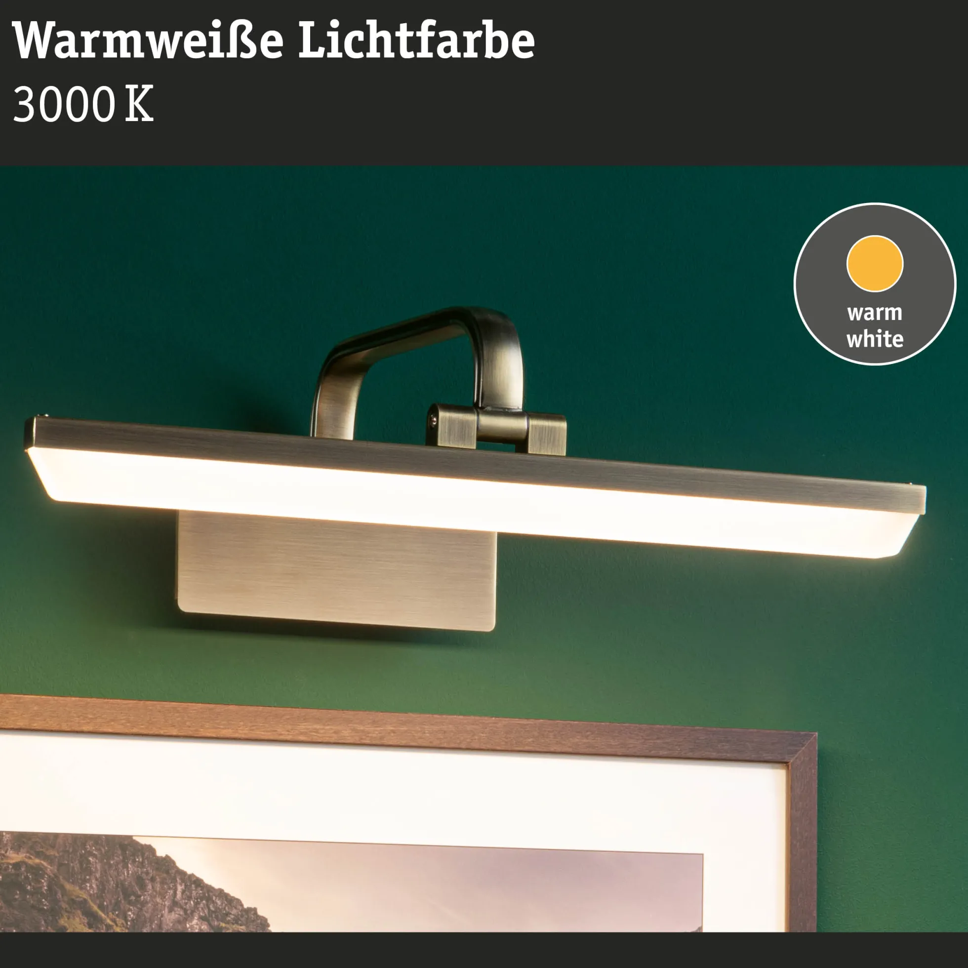 LED Bilderleuchte - Renan