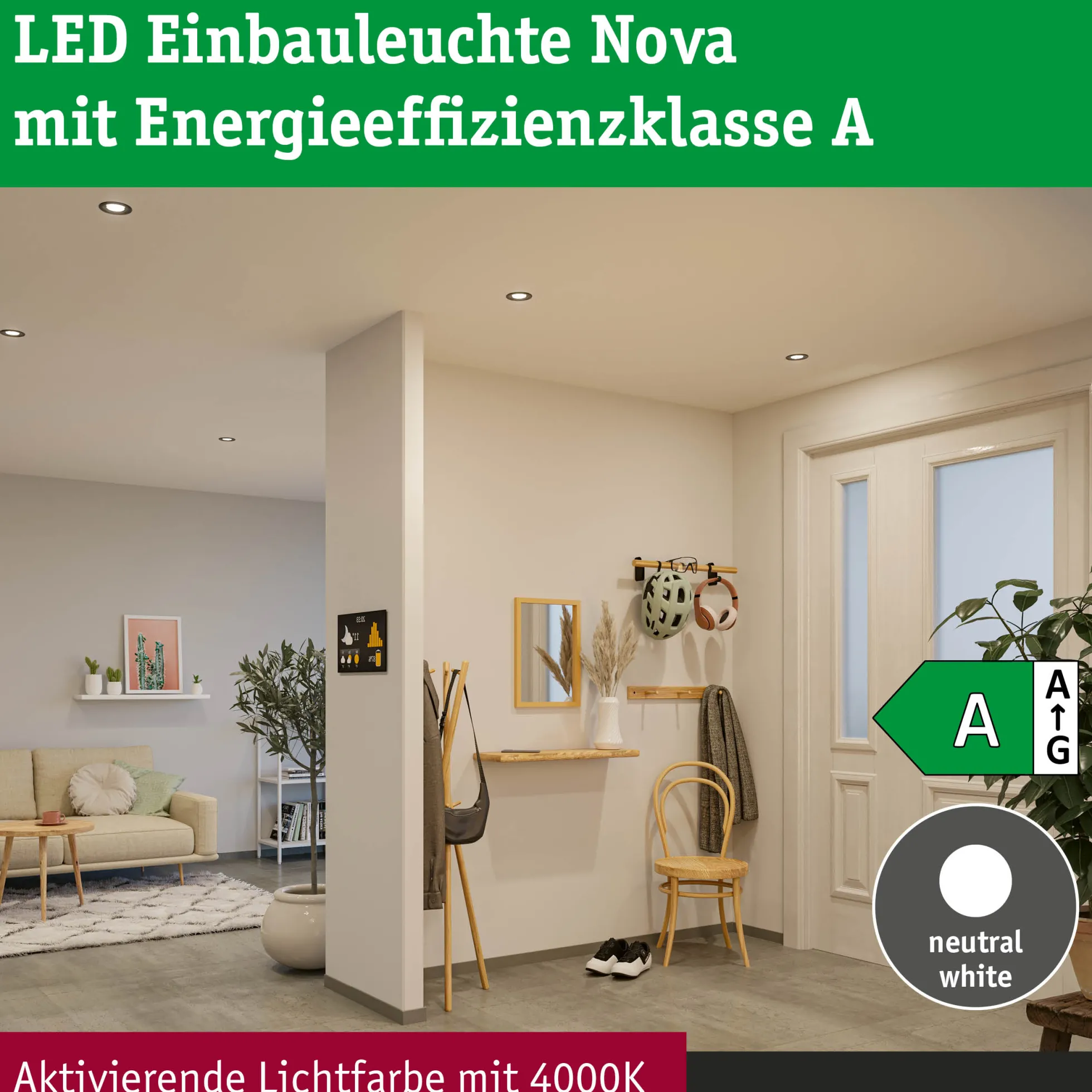 LED Coin - Nova