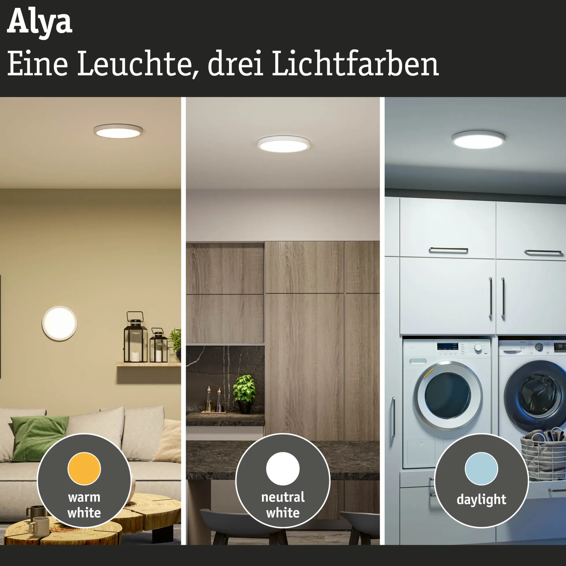 LED Panel - Alya