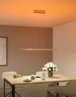 LED Pendelleuchte - Lesko