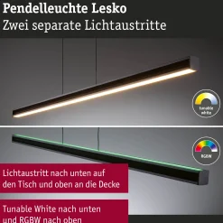 LED Pendelleuchte - Lesko