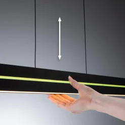 LED Pendelleuchte - Raiko