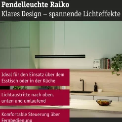 LED Pendelleuchte - Raiko