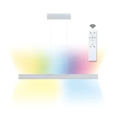 LED Pendelleuchte - Raiko