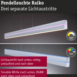 LED Pendelleuchte - Raiko