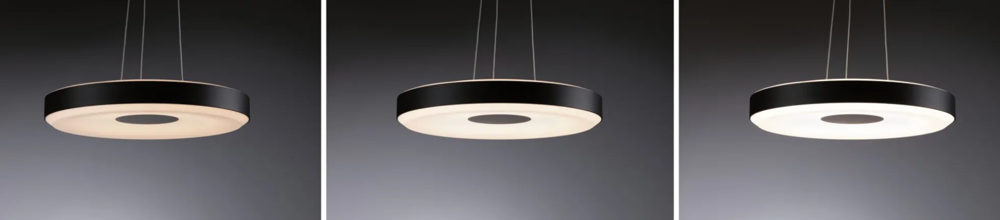 LED Pendelleuchte 3-Step-Dim - Pane