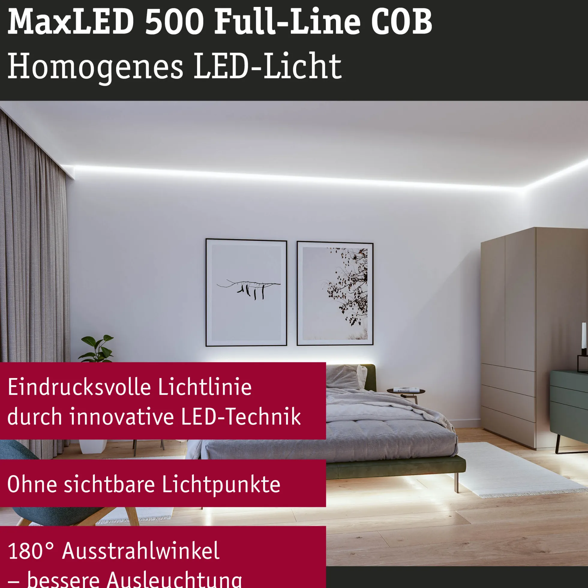MaxLED 500 LED Strip - Basisset 3m 6500K