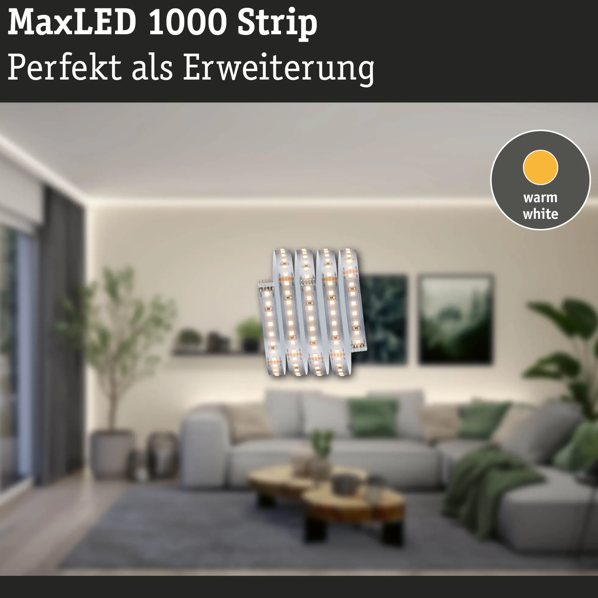 MaxLED 1000 LED Strip - Erweiterung 2,5m Warmweiß