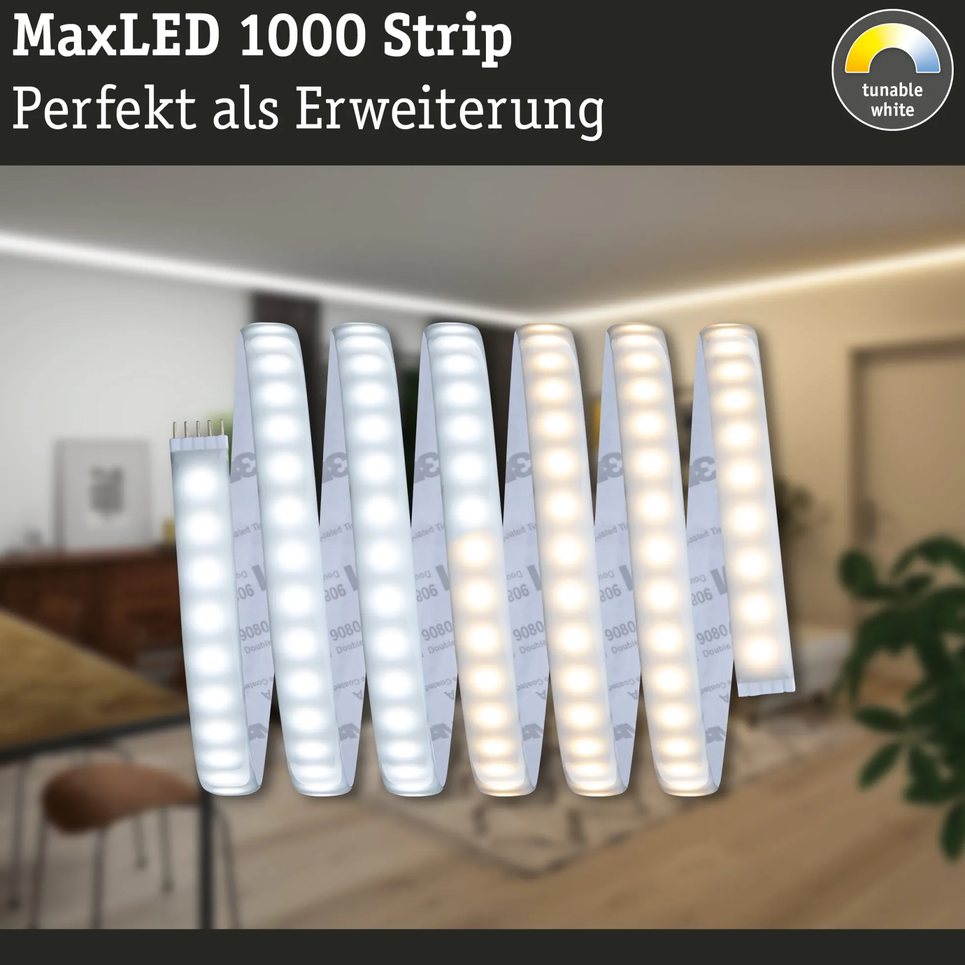 MaxLED 1000 LED Strip - Erweiterung 2,5m Tunable White