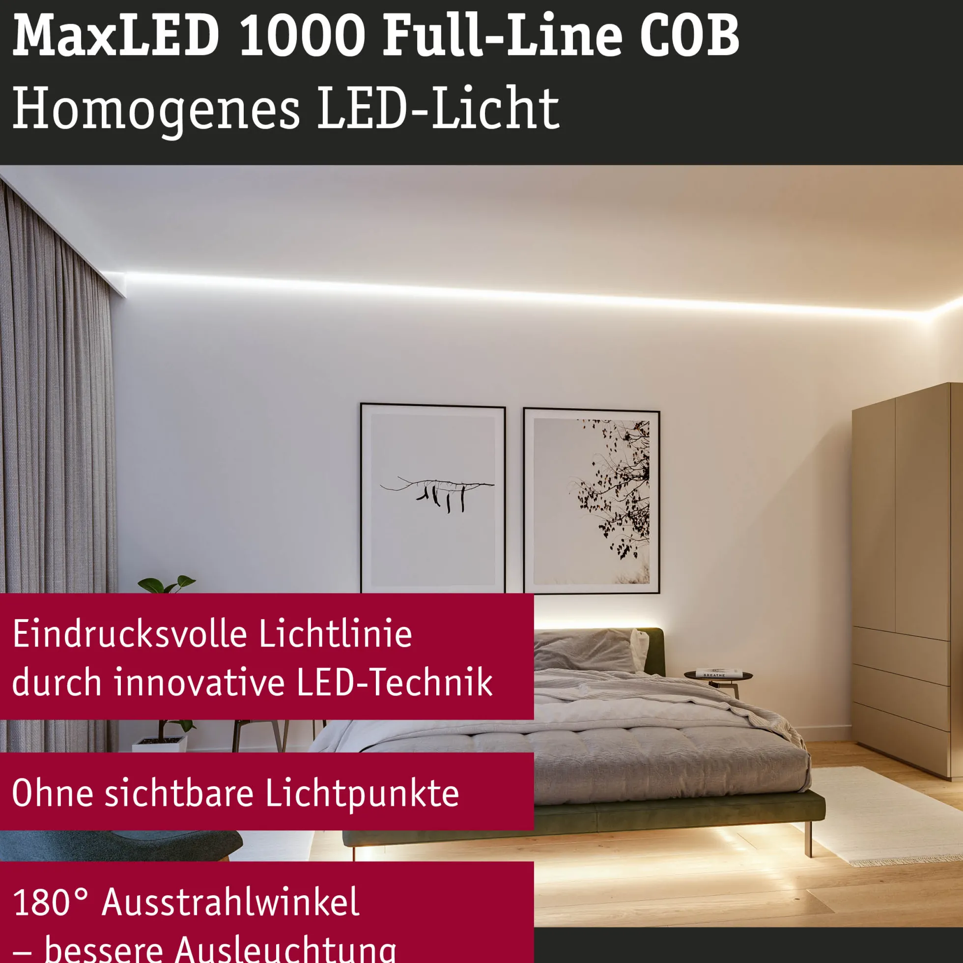 MaxLED 1000 LED Strip - Erweiterung 2,5m Tunable White