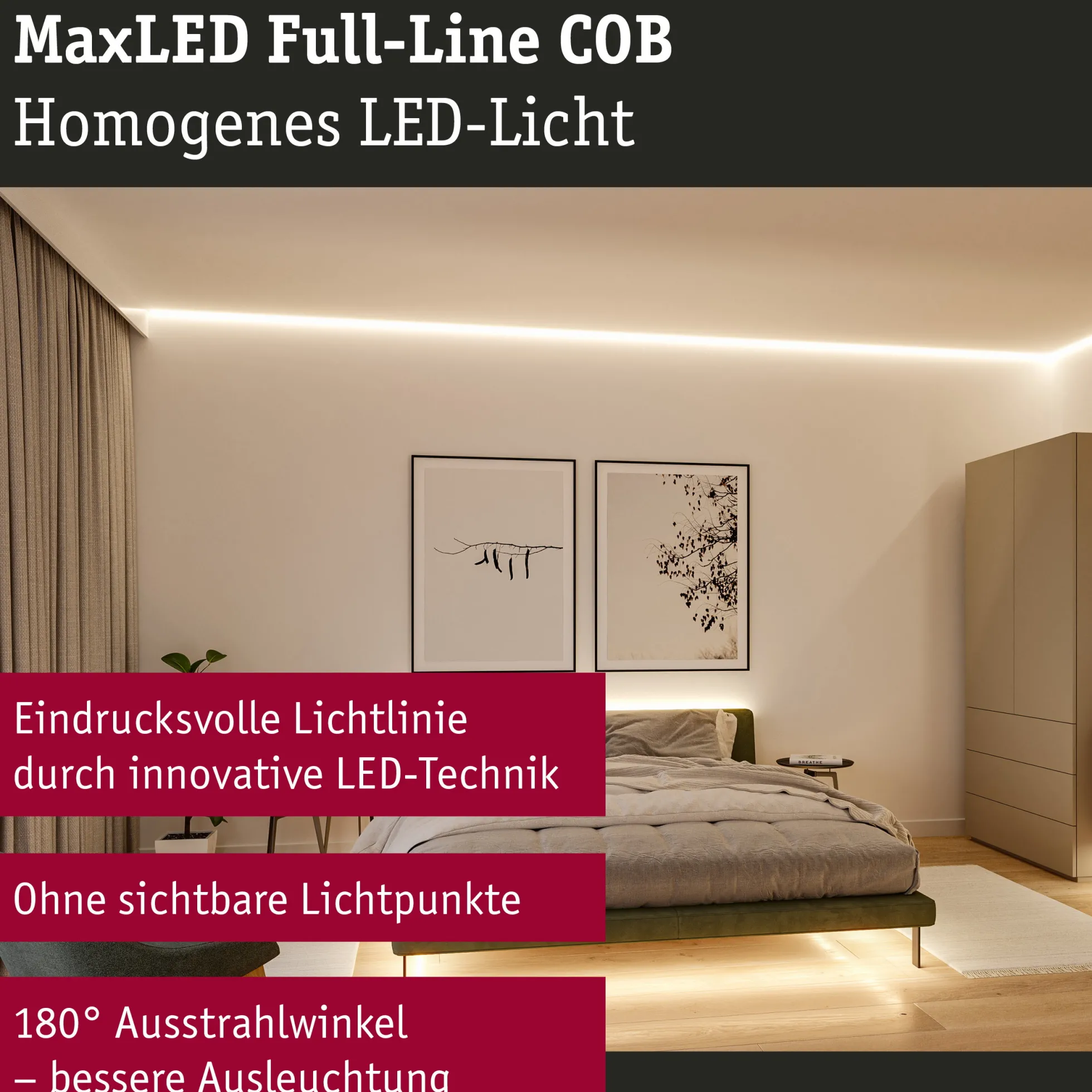 MaxLED 500 LED Strip - Erweiterung 2,5m 2700K