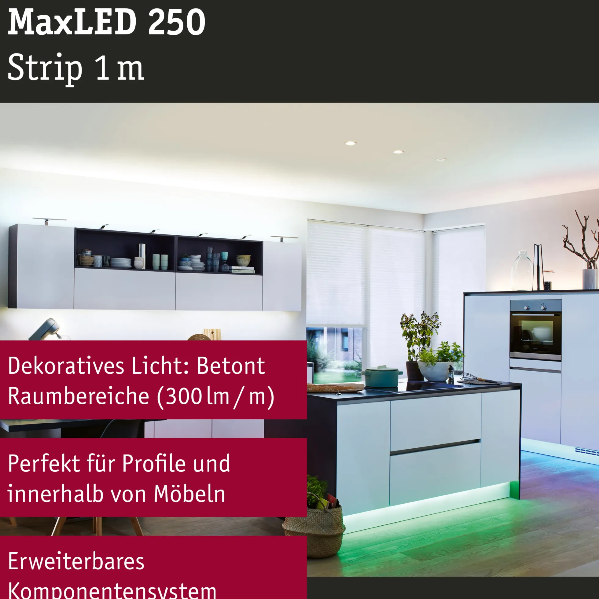 MaxLED 250 LED Strip - Erweiterung 1m RGBW+
