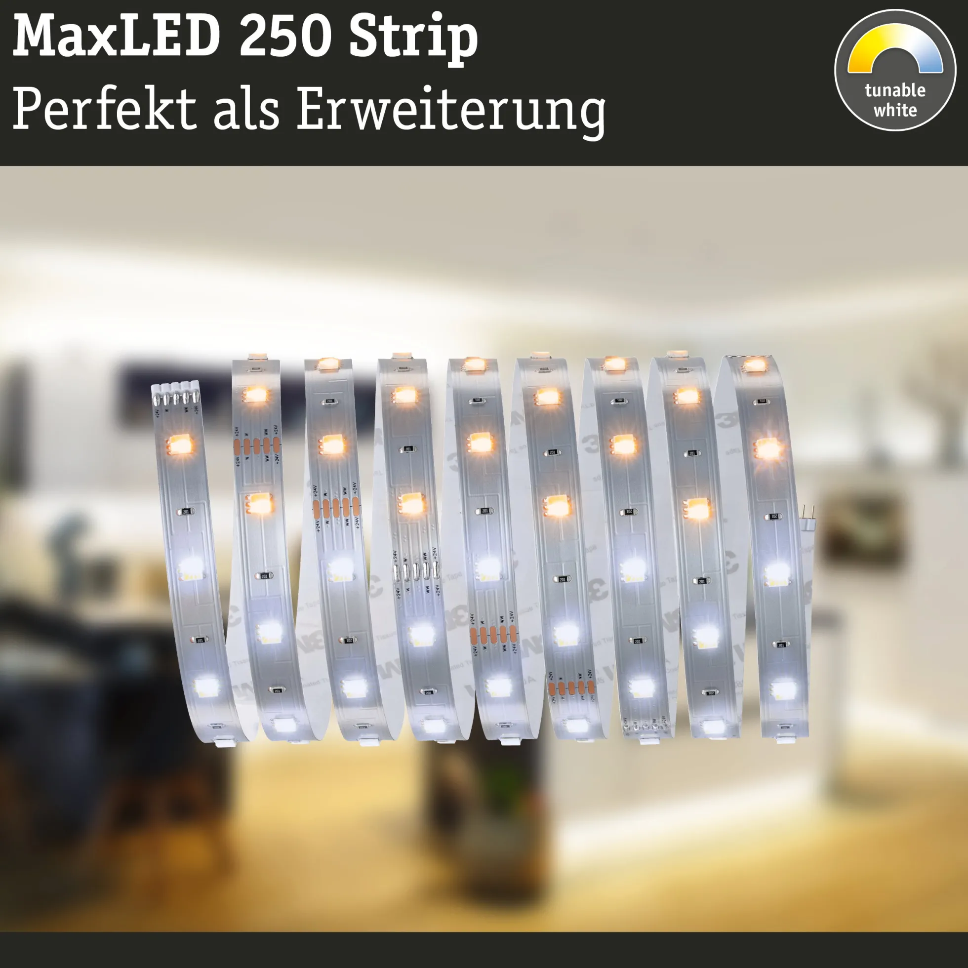 MaxLED 250 LED Strip - Erweiterung 2,5m Tunable White