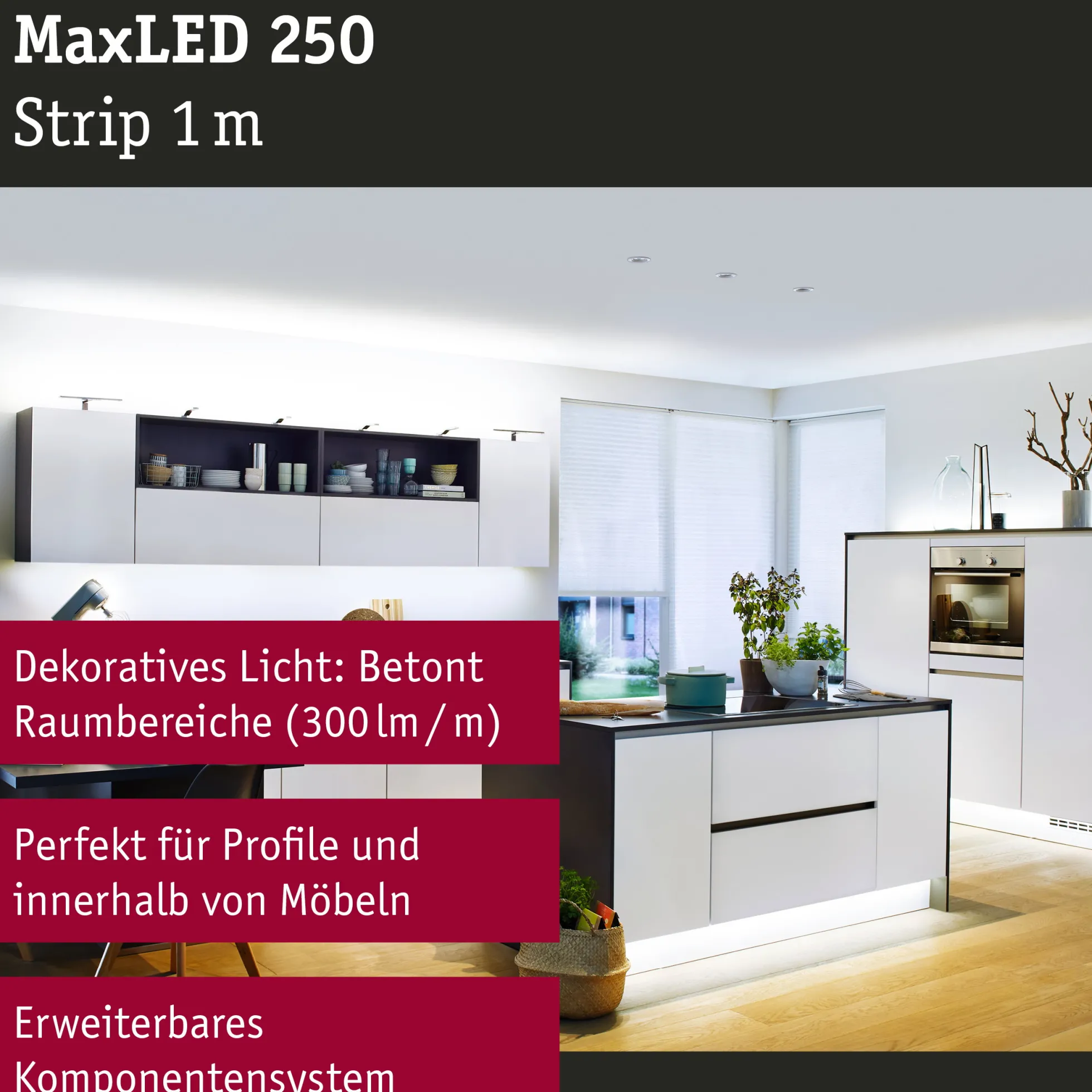 MaxLED 250 LED Strip - Erweiterung 1m 6500K