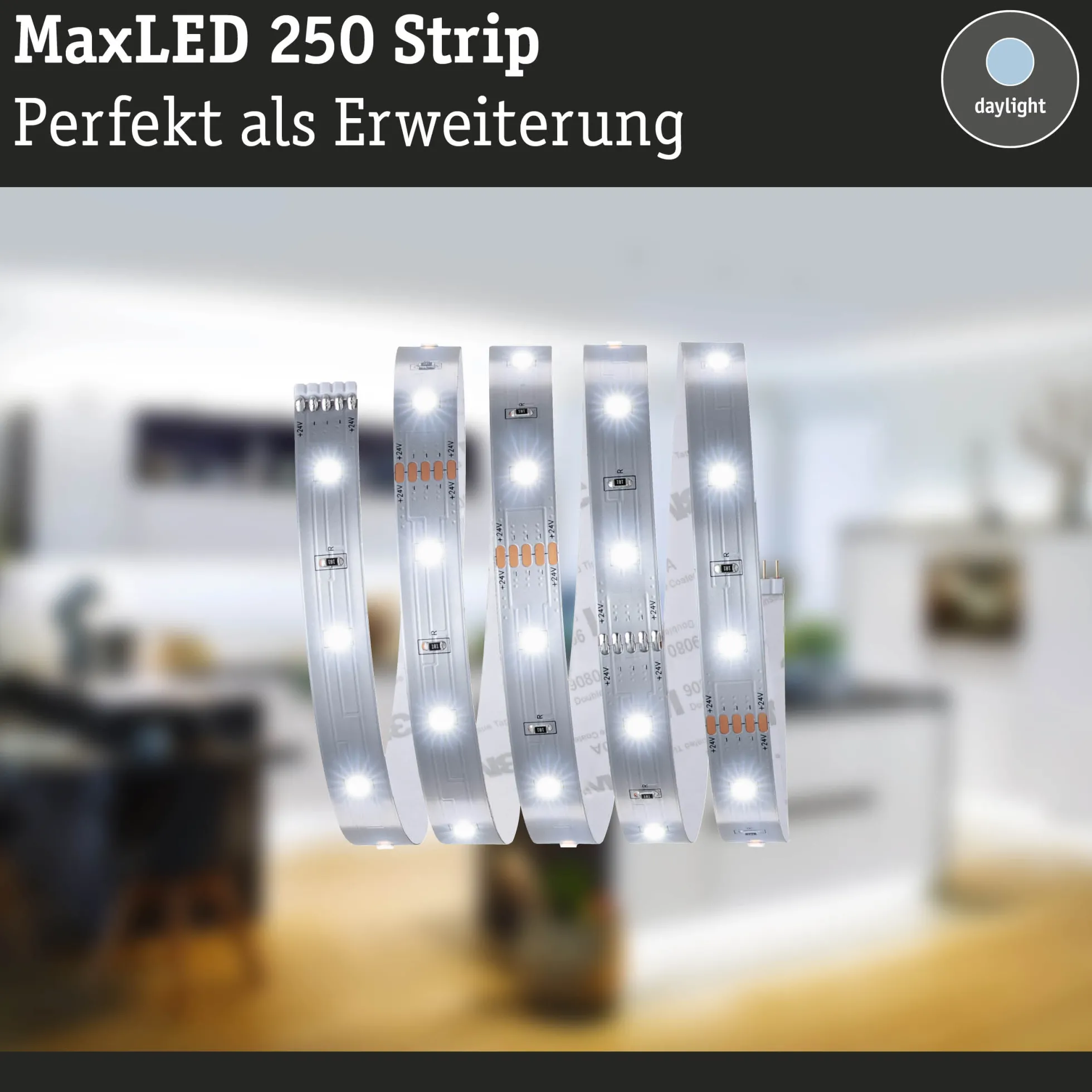 MaxLED 250 LED Strip - Erweiterung 1m 6500K