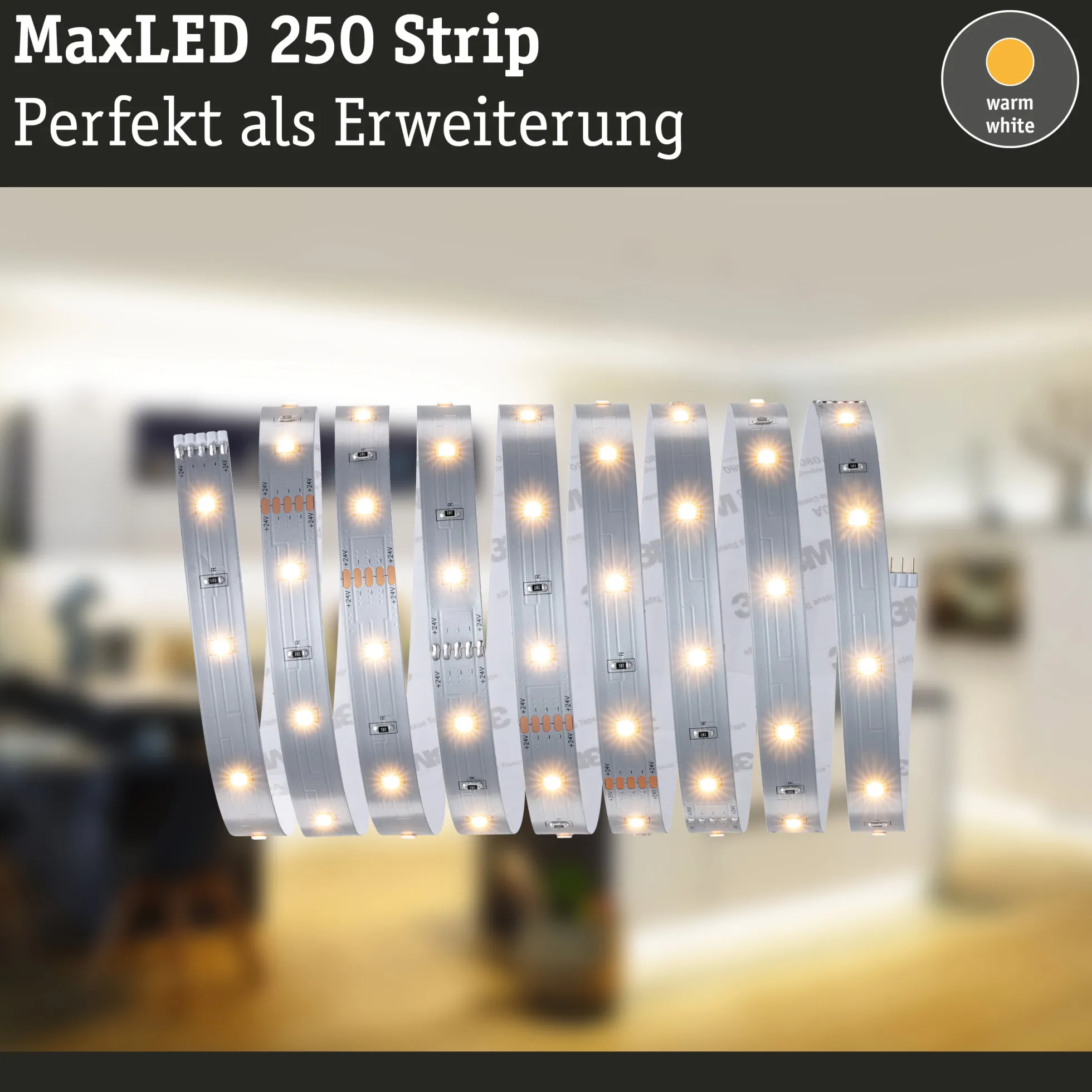 MaxLED 250 LED Strip - Erweiterung 2,5m 2700K