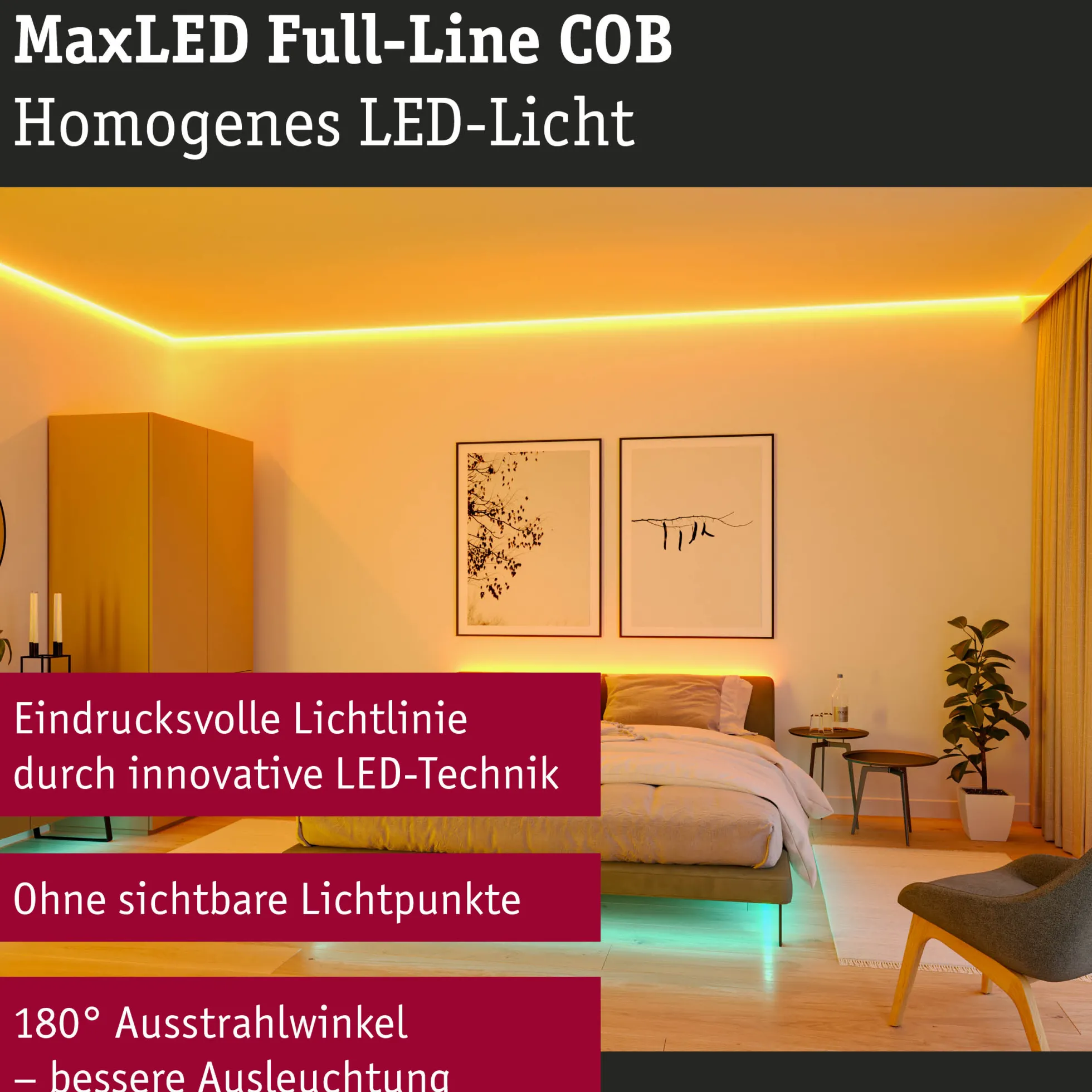 MaxLED 1000 LED Strip - Erweiterung 2,5m RGBW