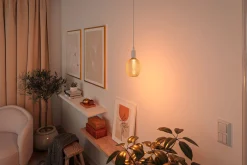 Metallic Glow Standard 230V - LED Globe Helix
