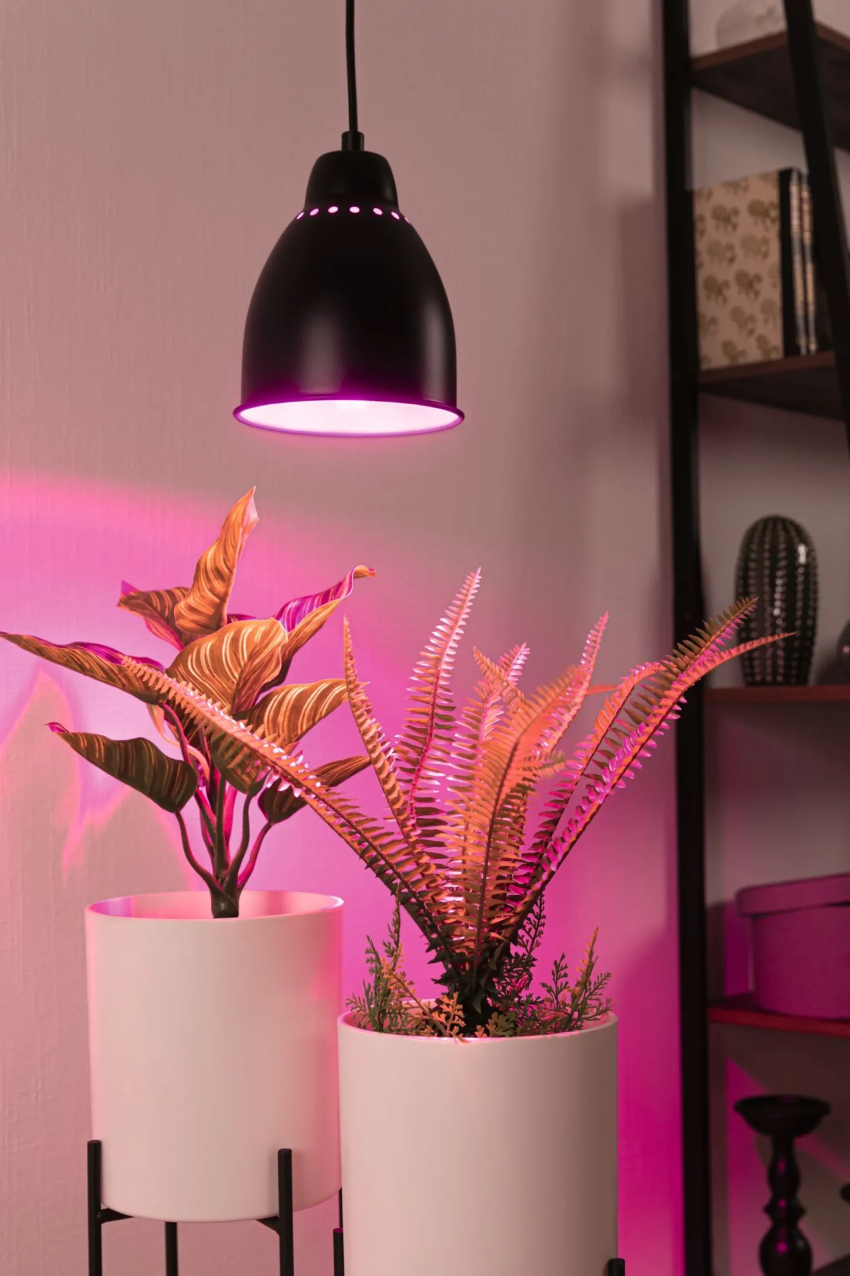 Neordic Set - Pendelleuchte Hilla + LED Reflektor E27