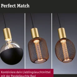 Pendelleuchte - Ravi