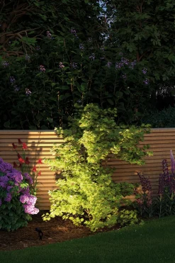 Plug & Shine LED Gartenstrahler - Sting Erweiterungsset