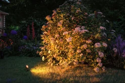 Plug & Shine LED Gartenstrahler - Sting Basisset insektenfreundlich