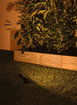 Plug & Shine LED Gartenstrahler - Sting Basisset insektenfreundlich
