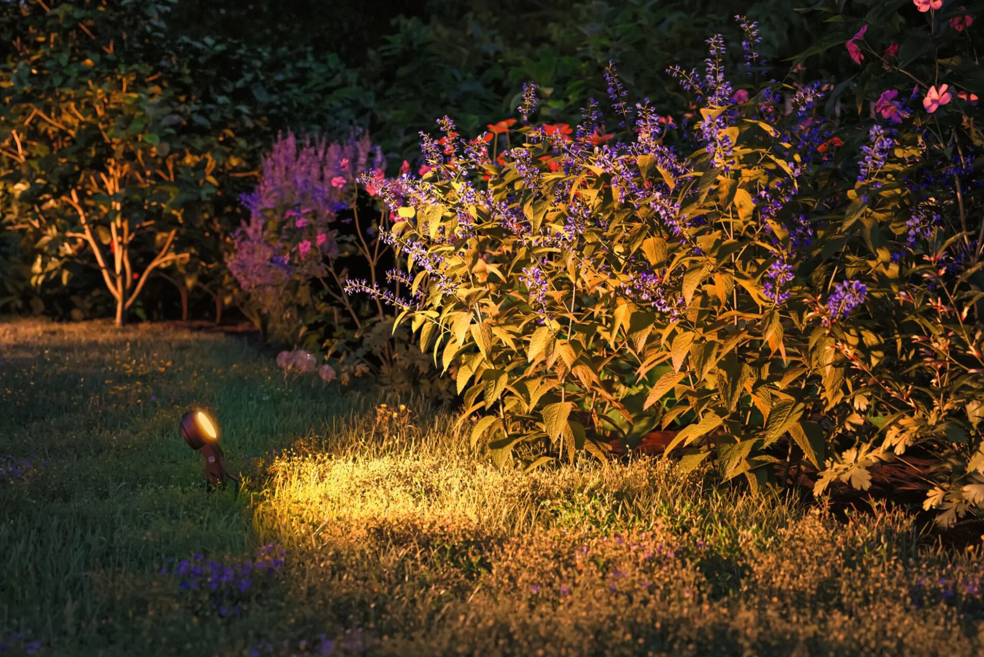 Plug & Shine LED Gartenstrahler - Sting Einzelspot insektenfreundlich