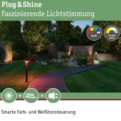 Plug & Shine LED Pollerleuchte Smart Home Zigbee 3.0 - Plate