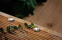 Plug & Shine Set Smart Home Zigbee 3.0 - LED Bodeneinbauleuchte MicroPen