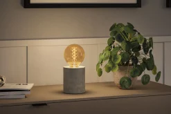 Rustic Shine Standard 230V - LED Globe Filament in S-Form