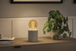 Rustic Shine Standard 230V - LED Globe Filament in I-Form