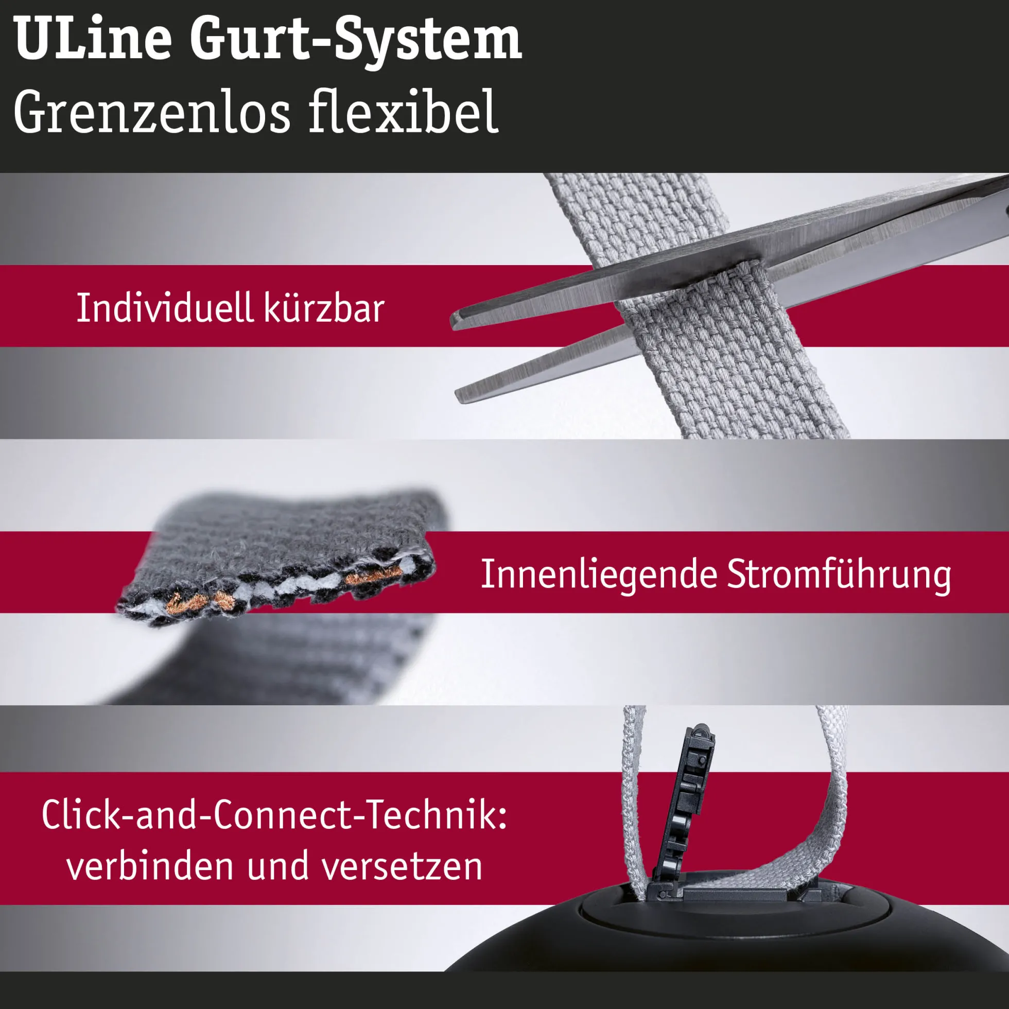 ULine Gurt - Basisset