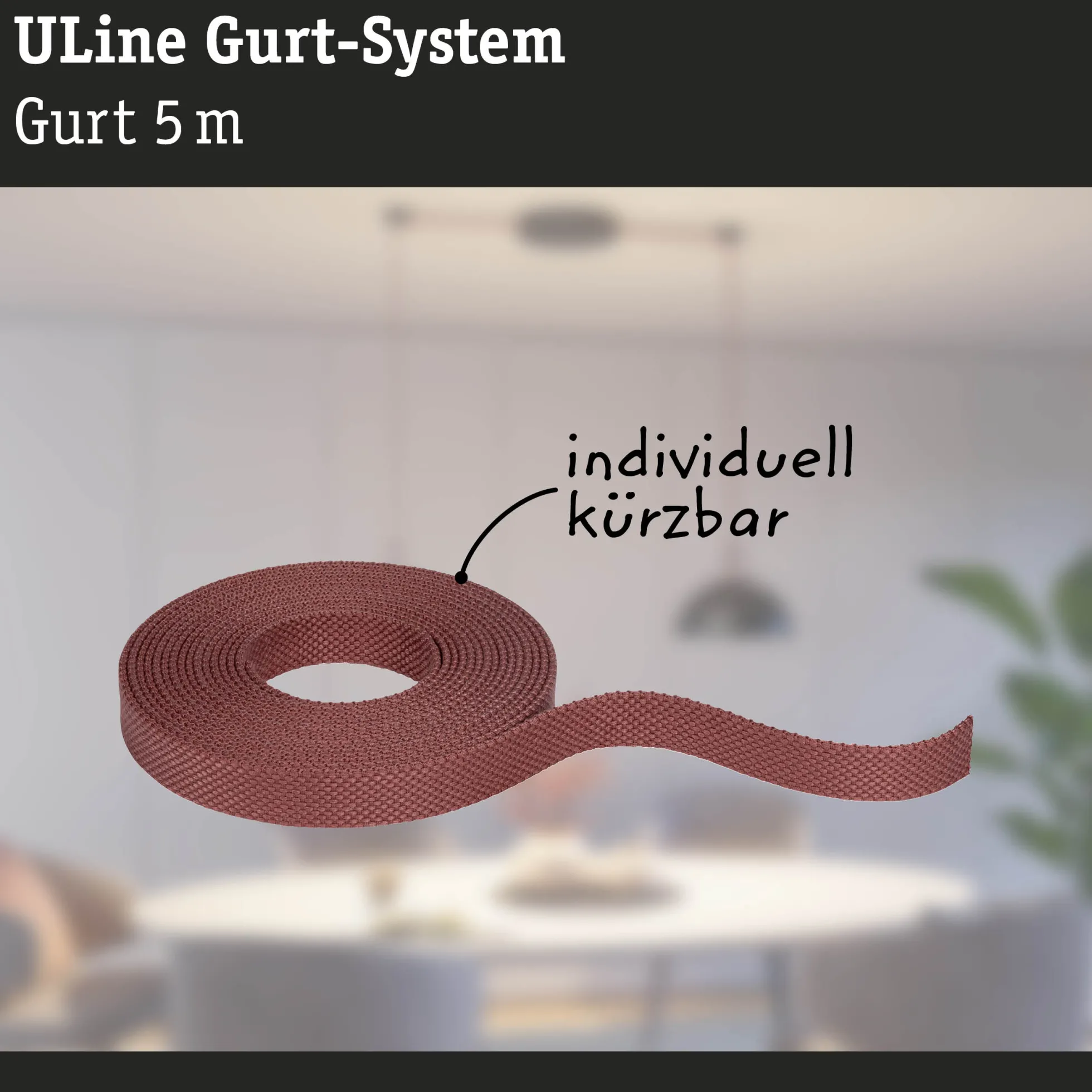 ULine Gurt - 5m
