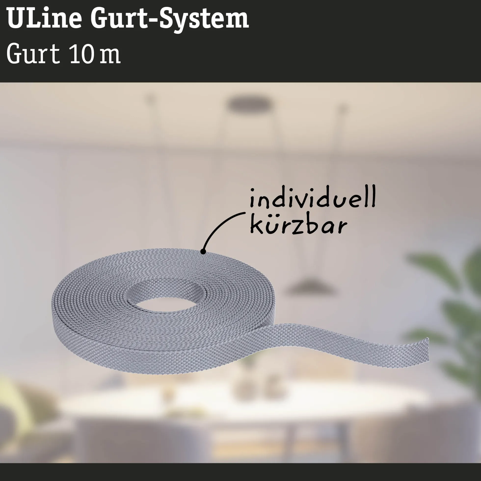 ULine Gurt - 10m