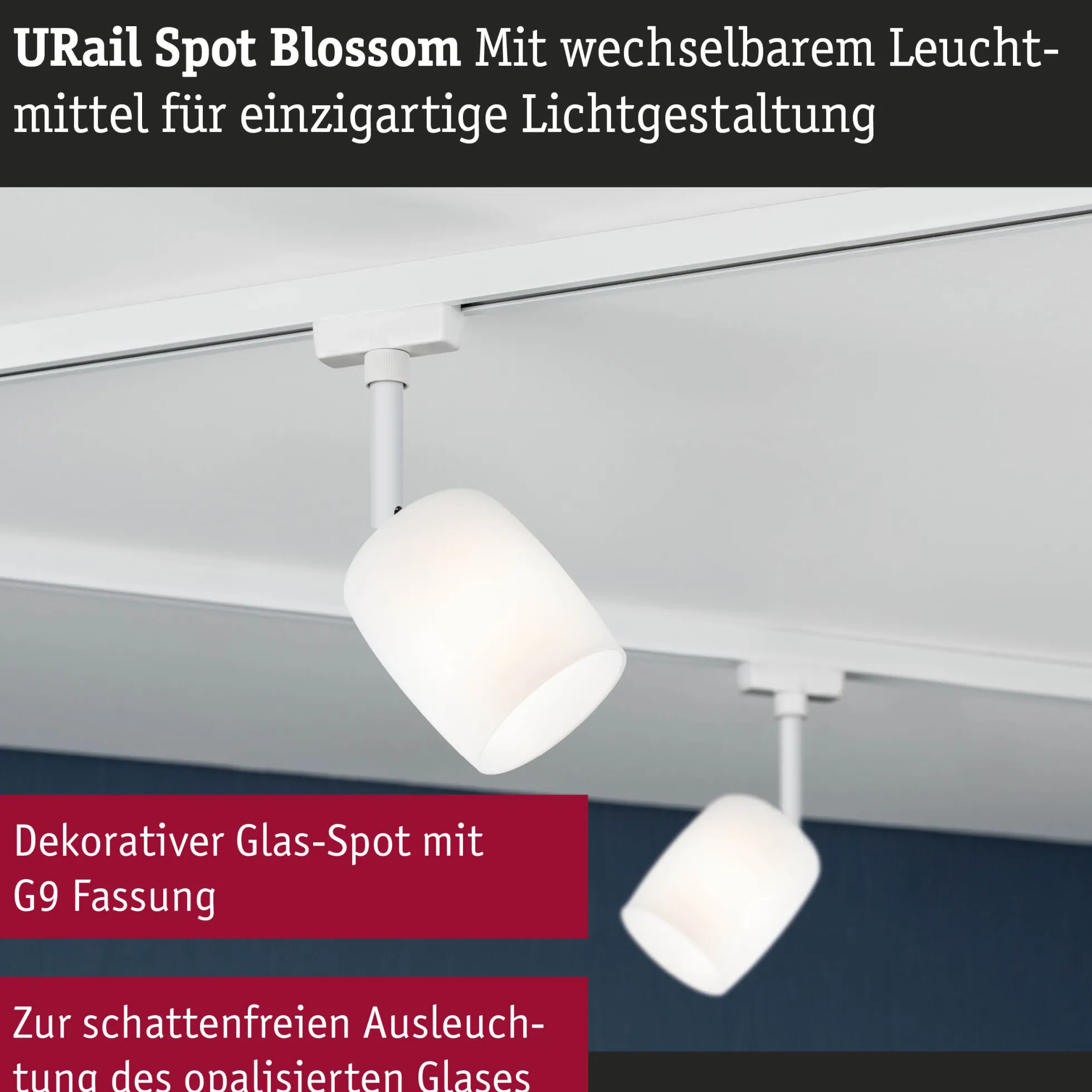URail Schienenspot - Blossom