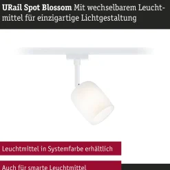 URail Schienenspot - Blossom
