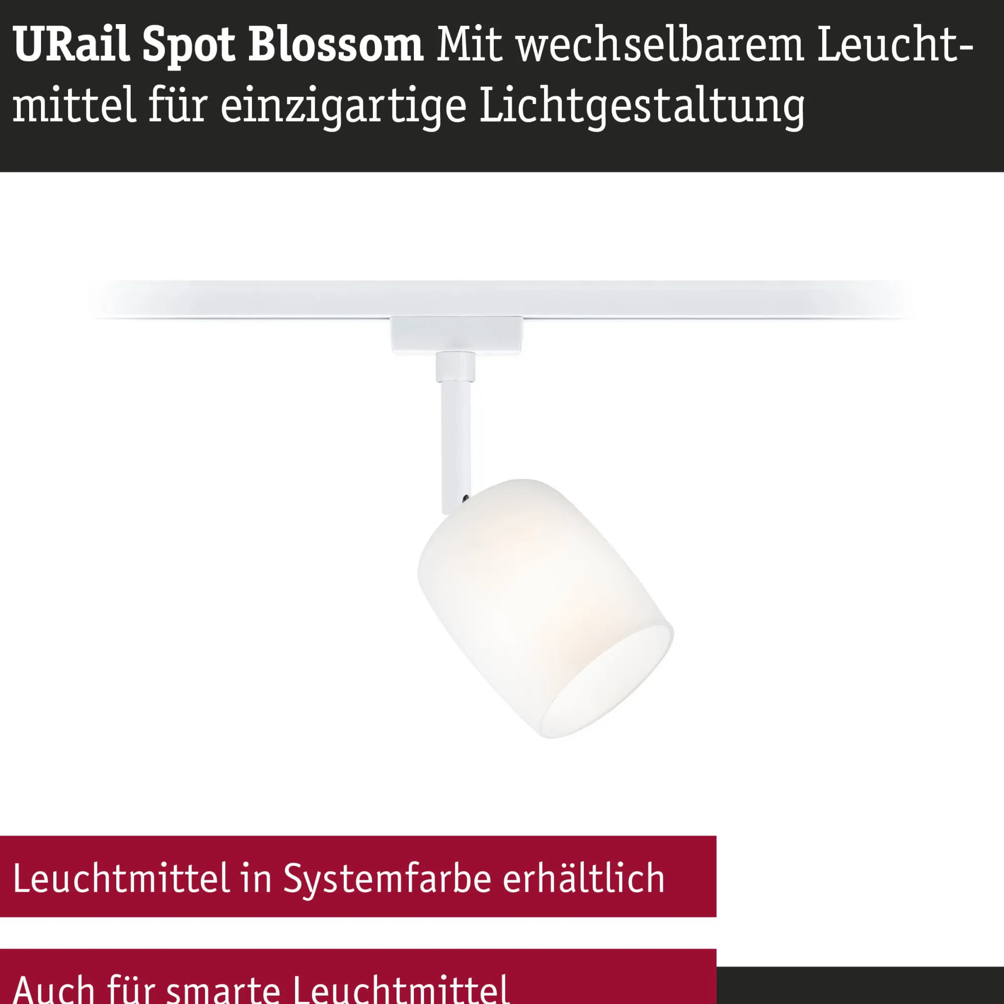 URail Schienenspot - Blossom